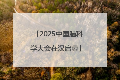 2025中国脑科学大会在汉启幕