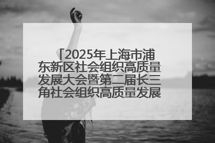 2025年上海市浦东新区社会组织高质量发展大会暨第二届长三角社会组织高质量发展峰会成功举办