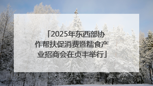 2025年东西部协作帮扶促消费暨糯食产业招商会在贞丰举行