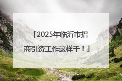 2025年临沂市招商引资工作这样干！