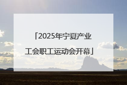 2025年宁夏产业工会职工运动会开幕