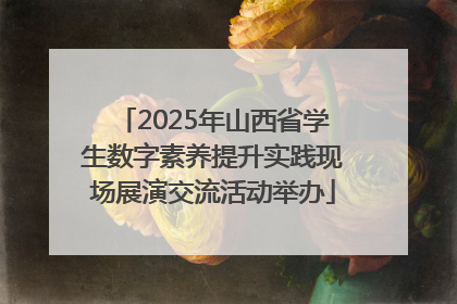 2025年山西省学生数字素养提升实践现场展演交流活动举办