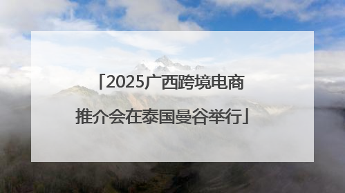 2025广西跨境电商推介会在泰国曼谷举行