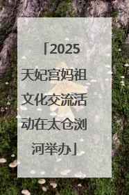 2025天妃宫妈祖文化交流活动在太仓浏河举办