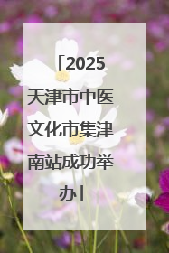 2025天津市中医文化市集津南站成功举办