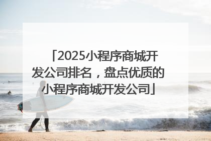 2025小程序商城开发公司排名，盘点优质的小程序商城开发公司