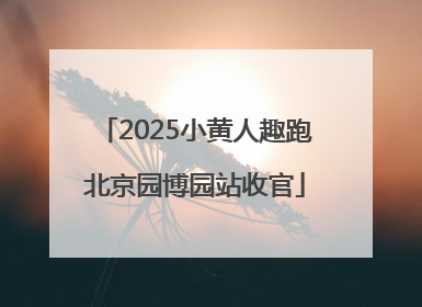 2025小黄人趣跑北京园博园站收官