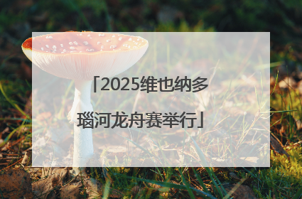2025维也纳多瑙河龙舟赛举行