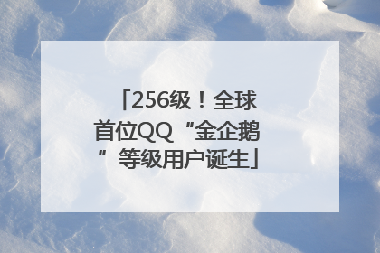 256级！全球首位QQ“金企鹅”等级用户诞生