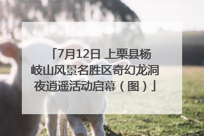 7月12日 上栗县杨岐山风景名胜区奇幻龙洞夜逍遥活动启幕（图）
