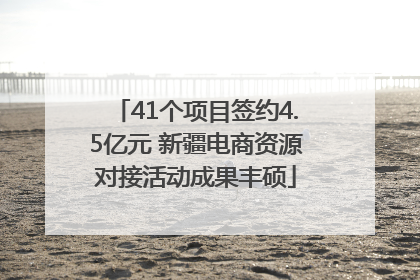 41个项目签约4.5亿元 新疆电商资源对接活动成果丰硕