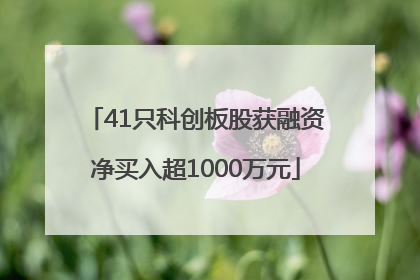 41只科创板股获融资净买入超1000万元