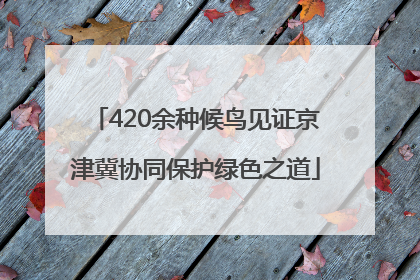 420余种候鸟见证京津冀协同保护绿色之道