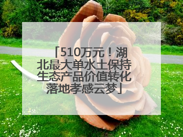 510万元！湖北最大单水土保持生态产品价值转化落地孝感云梦