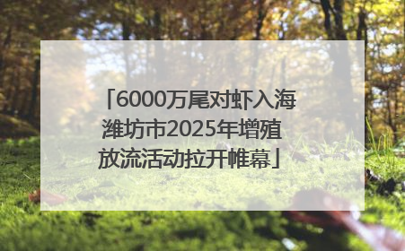 6000万尾对虾入海 潍坊市2025年增殖放流活动拉开帷幕
