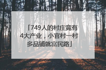 749人的村庄竟有4大产业，小官村一村多品铺就富民路