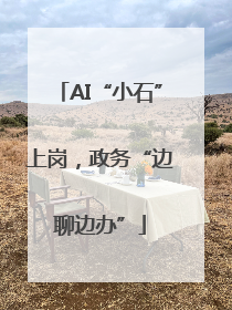 AI“小石”上岗，政务“边聊边办”