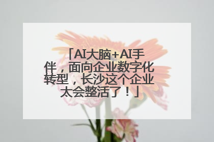 AI大脑+AI手伴，面向企业数字化转型，长沙这个企业太会整活了！