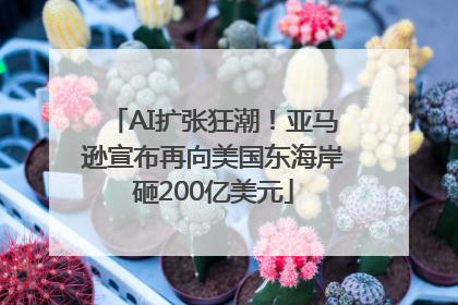 AI扩张狂潮！亚马逊宣布再向美国东海岸砸200亿美元