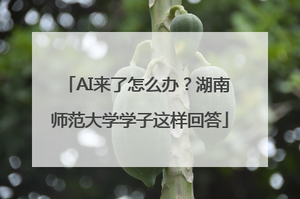 AI来了怎么办？湖南师范大学学子这样回答