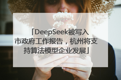 DeepSeek被写入市政府工作报告，杭州将支持算法模型企业发展