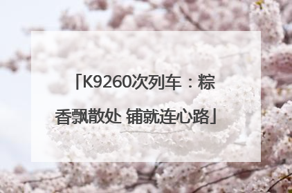 K9260次列车：粽香飘散处 铺就连心路